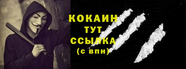 крисы Магас