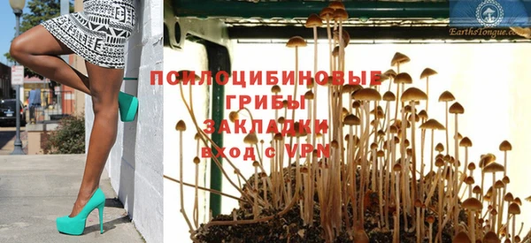крисы Магас