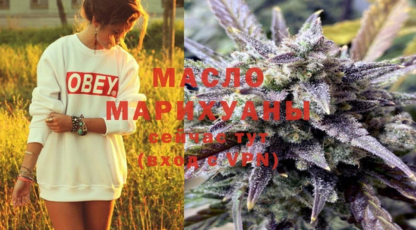 крисы Магас