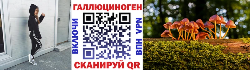 Купить где  Брюховецкая  Галлюциногенные грибы MAGIC MUSHROOMS 